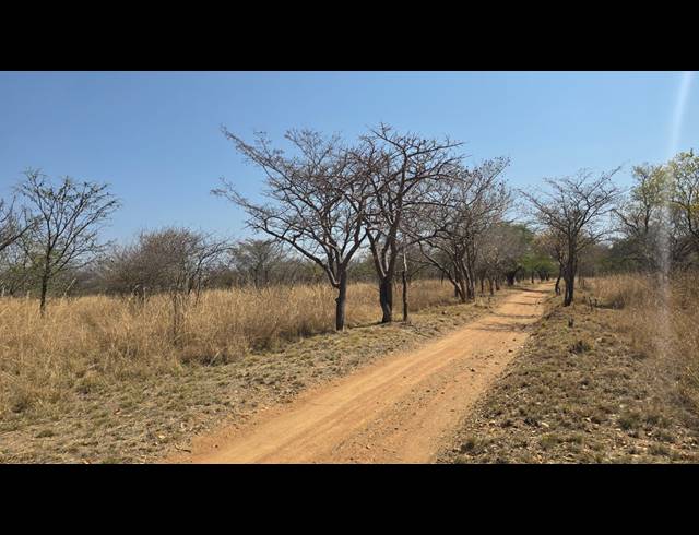 34.10HA SMALLHOLDING FOR SALE IN BELA BELA RURAL